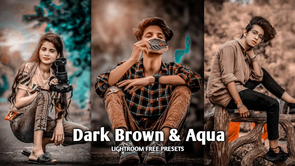 Knowledge arrow aqua and brown | presets Lightroom 2024