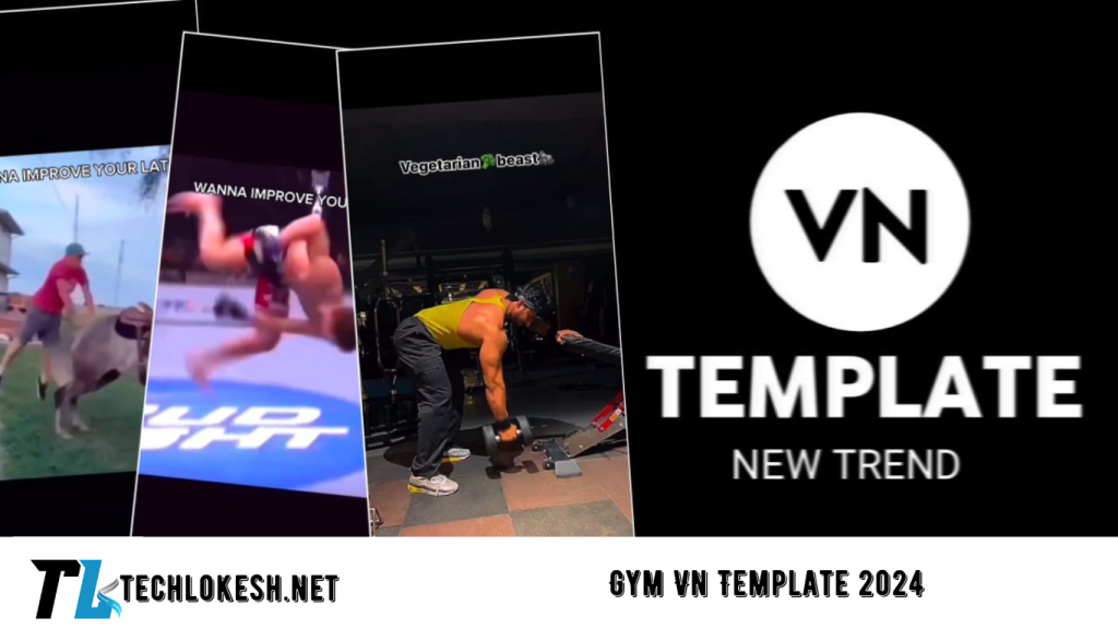 Gym Vn Template 2024