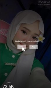 Delete All Memories Capcut Template Link 2024