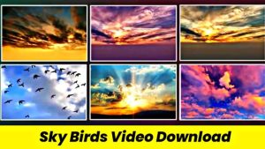 Sky Background Download 2024